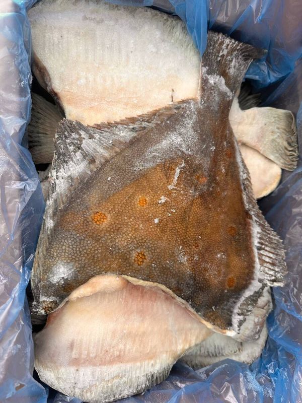 ������� ������������