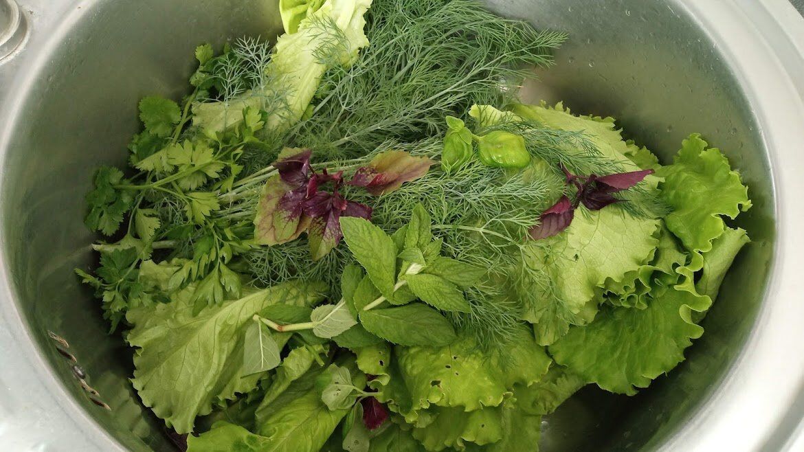 ��� ���������� �������� ������ �� ������ � ����� ����� �������������