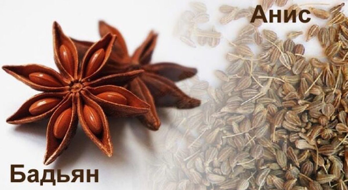 ������ � ����: ������������ ��������� ������, ������� ������������ ���