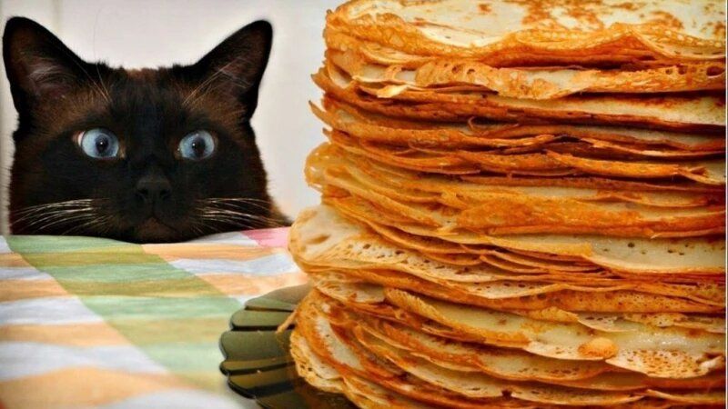 ��� ����� ����� ����� � ���������: ���� �� ����������� � 2026 ����