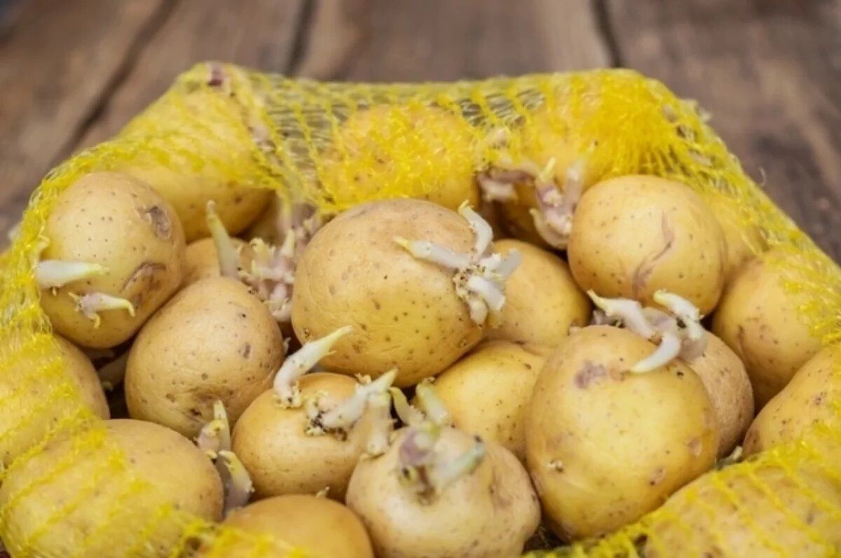 ��� ������� ��������� �������� ������ �����: ������ �� ������� ����������