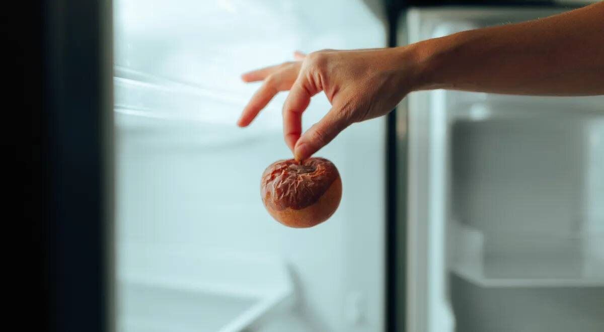 ����������� ����� ��������: ����� �������� ������������ ��������������� �������