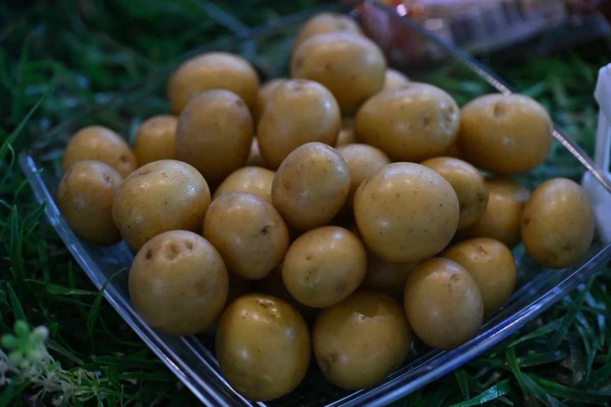 ������ ��������� � ������� � ��������� ������� ��� ��������