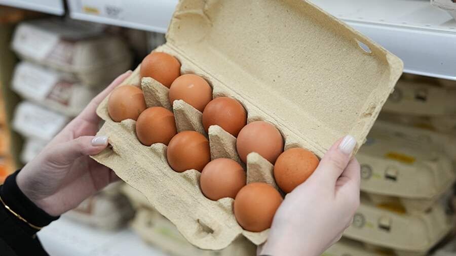 ФАС проверит цены на яйца и молоко в магазинах