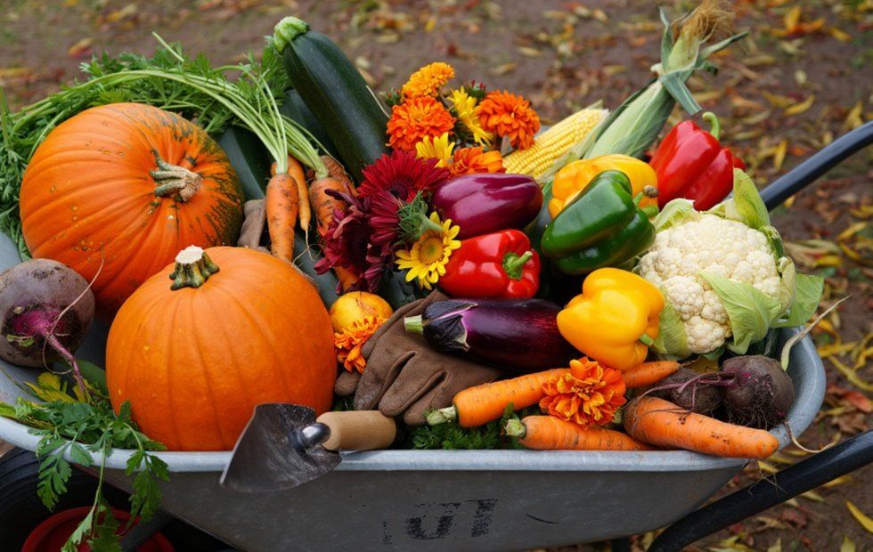 Октябрь: время для дачного финиша