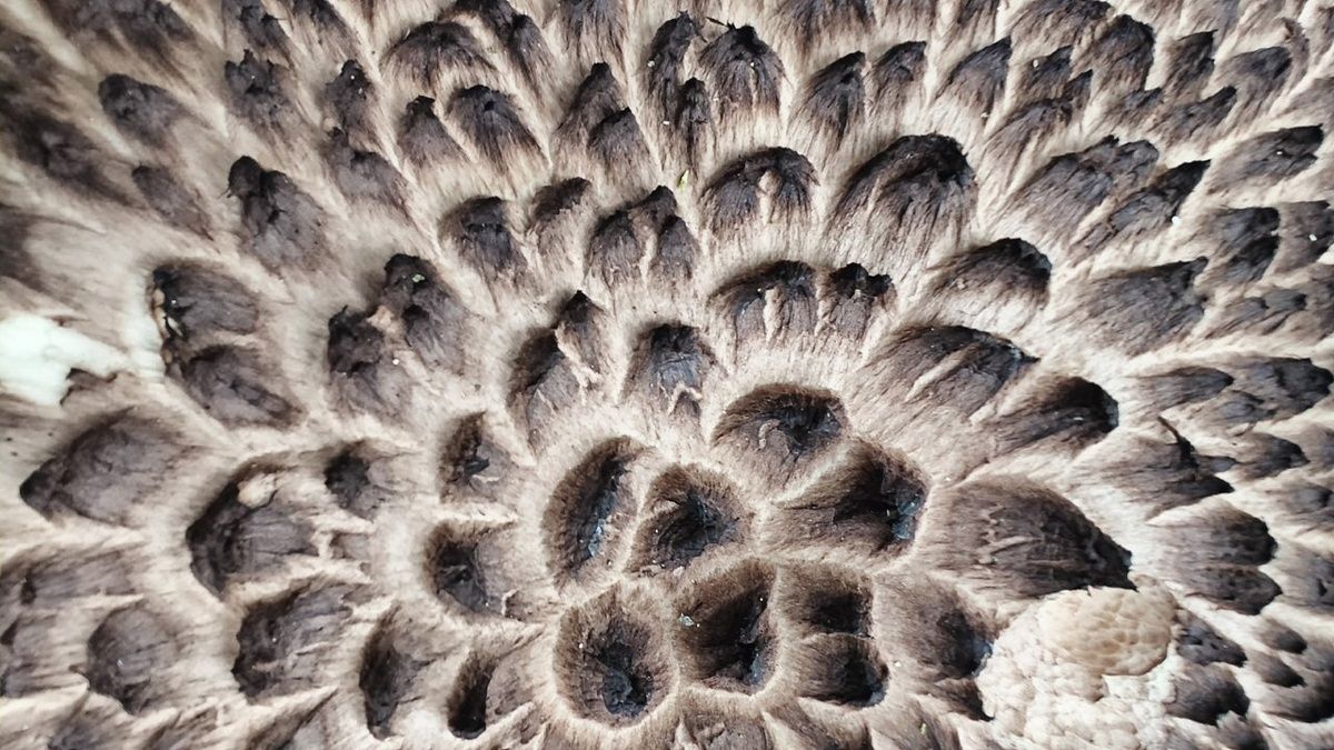 ��������� ���� � ���������� ������� ������ �������������� � ����������