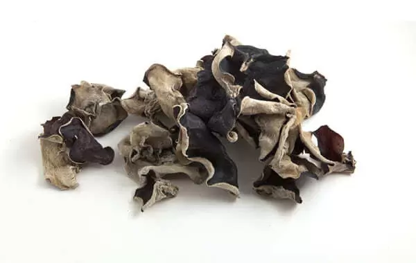 Как китайский гриб завоевал сердца россиян в девяностые