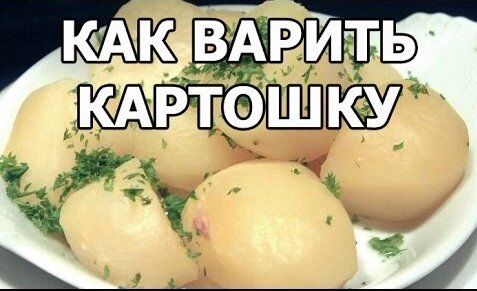 ��� ��������� ������� ��������: ������� �� �����