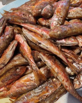 ��� ������� ���������: ���������� �� ������ � ������� ���������