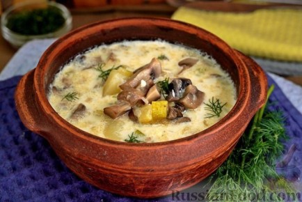 Супы, которые согреют душу: рецепты для каждого сезона