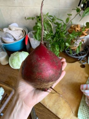 ������: �������� �������� ��� �������� � �������