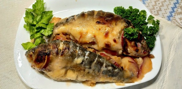 ���� ��� �������� ��������: ���� �� �������-������� ������