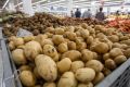 Фермеры жалуются на резкое снижение спроса на картошку